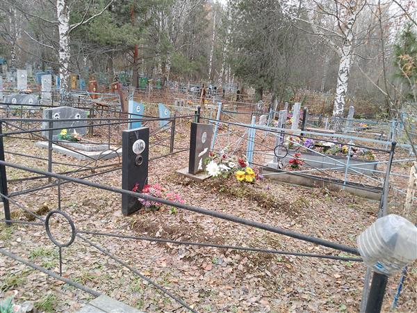 Гайкова Полина Андреевна