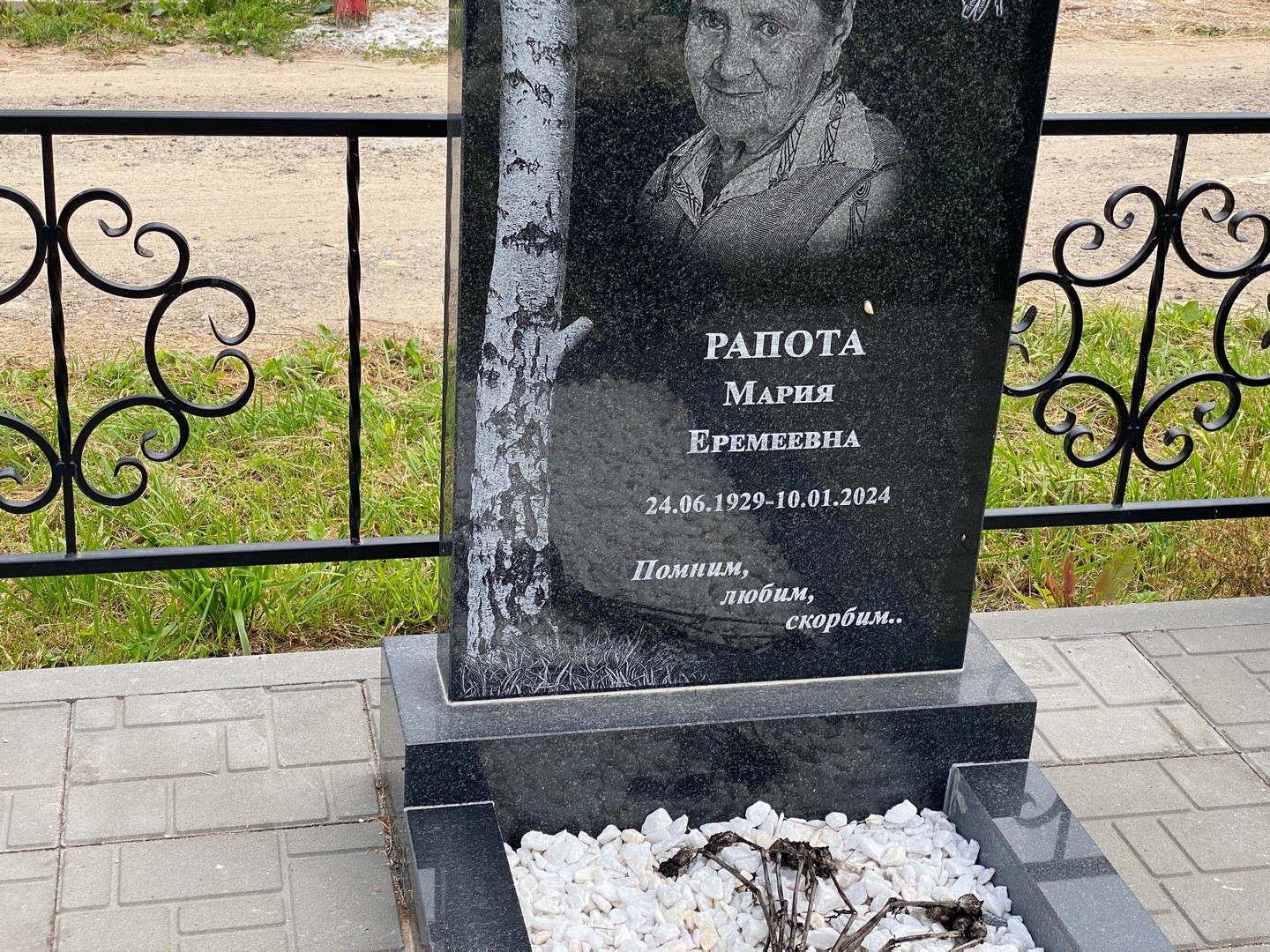 Рапота