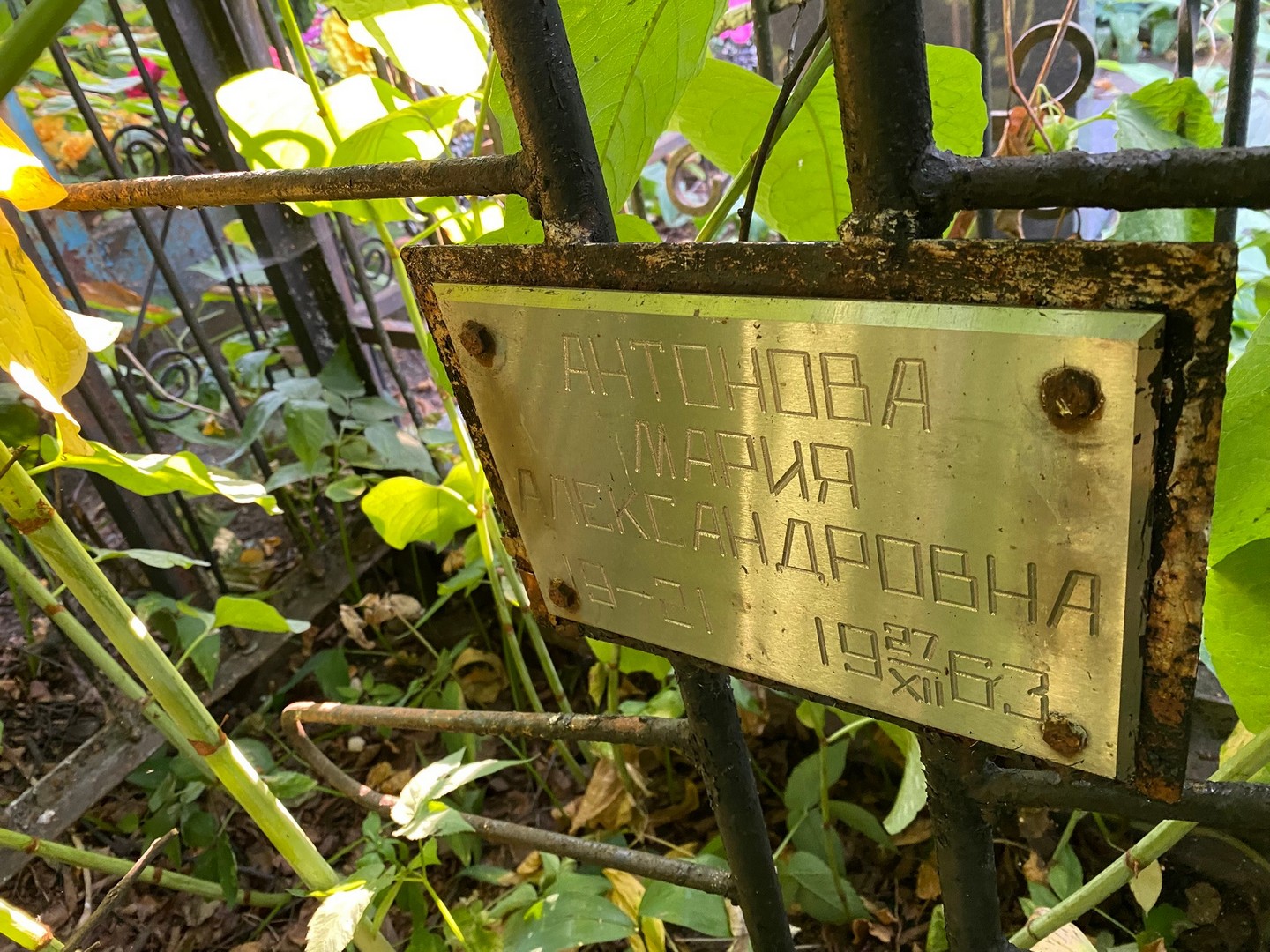 Антонова