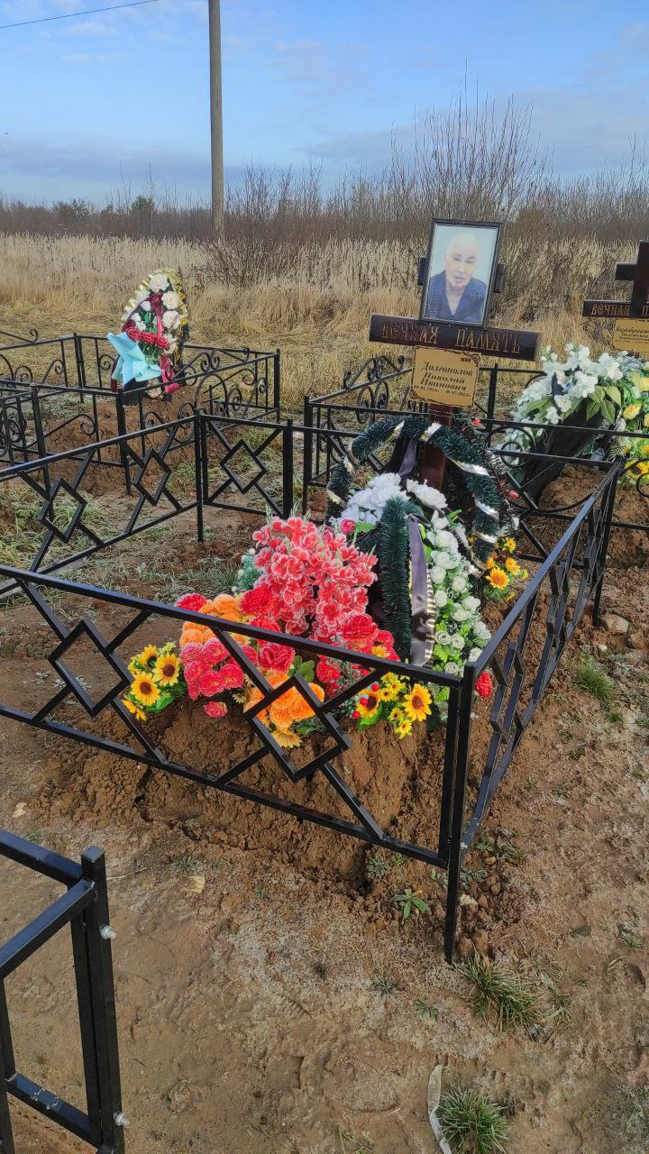Долгополов