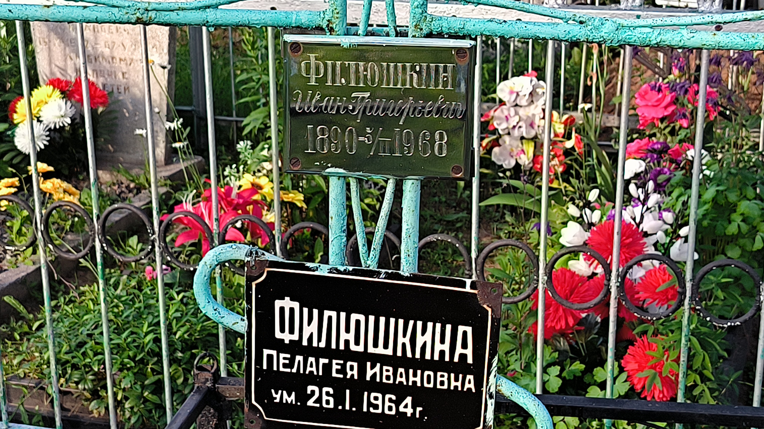 Филюшкина Матрена Александровна