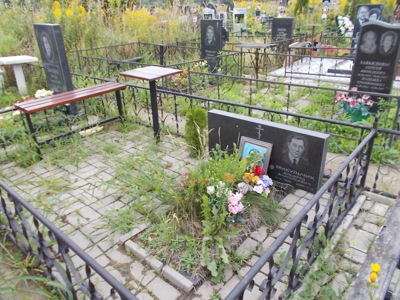 Микульчик Альфред Анатольевич