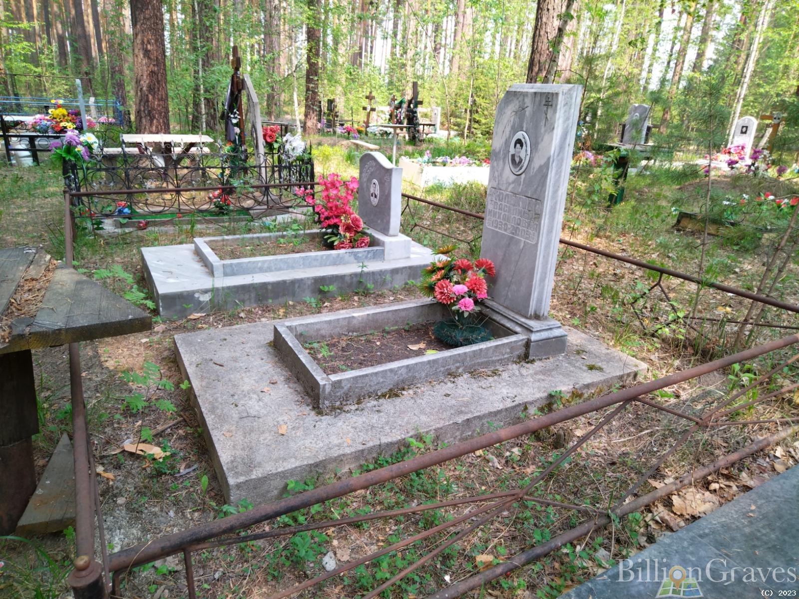 Тюлькина Василиса Михайловна