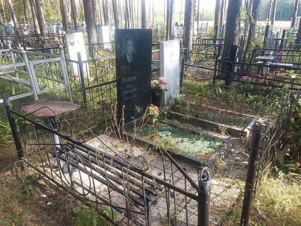 Румянцев Юрий Нариманович