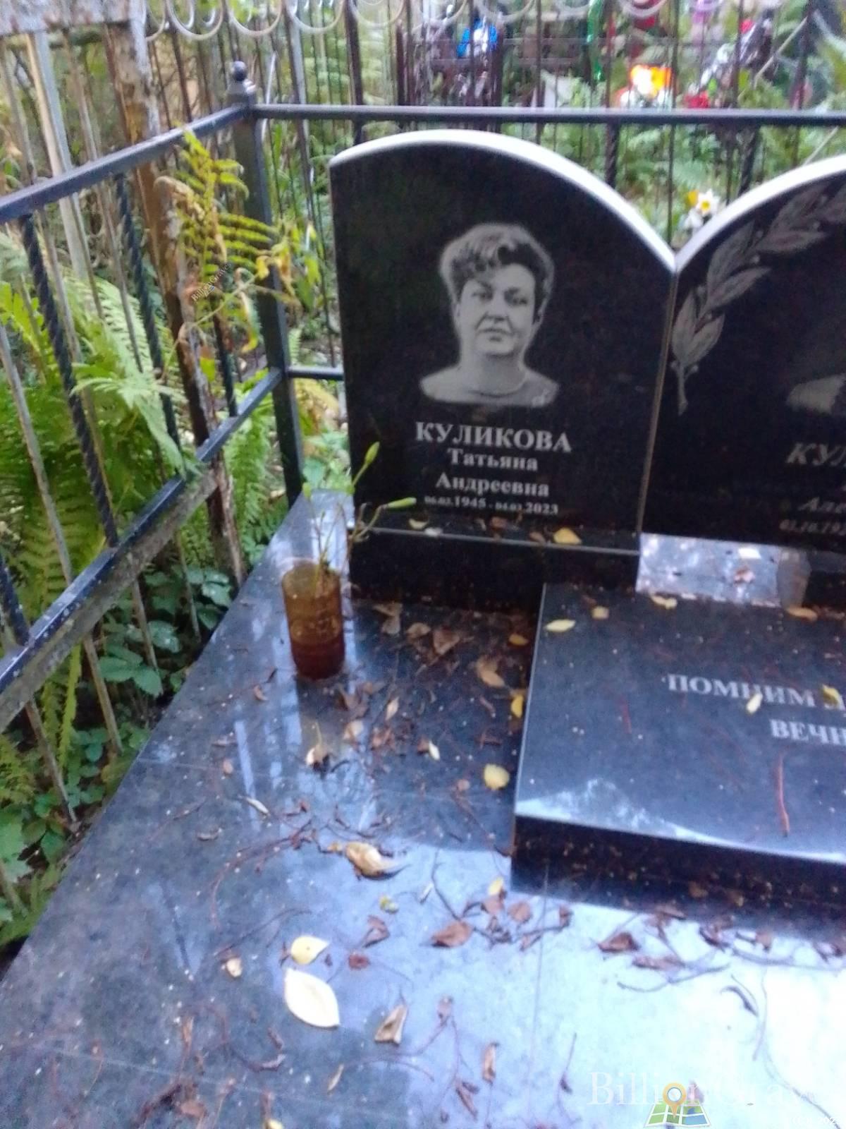 Куликова Татьяна Андреевна