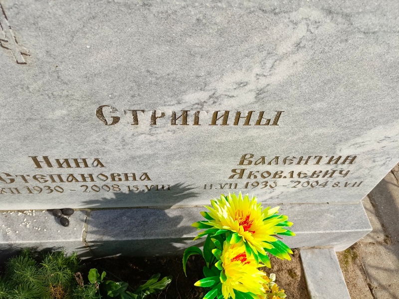 Стригин