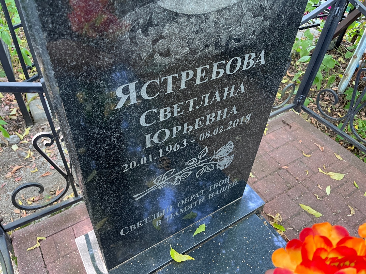 Ястребова
