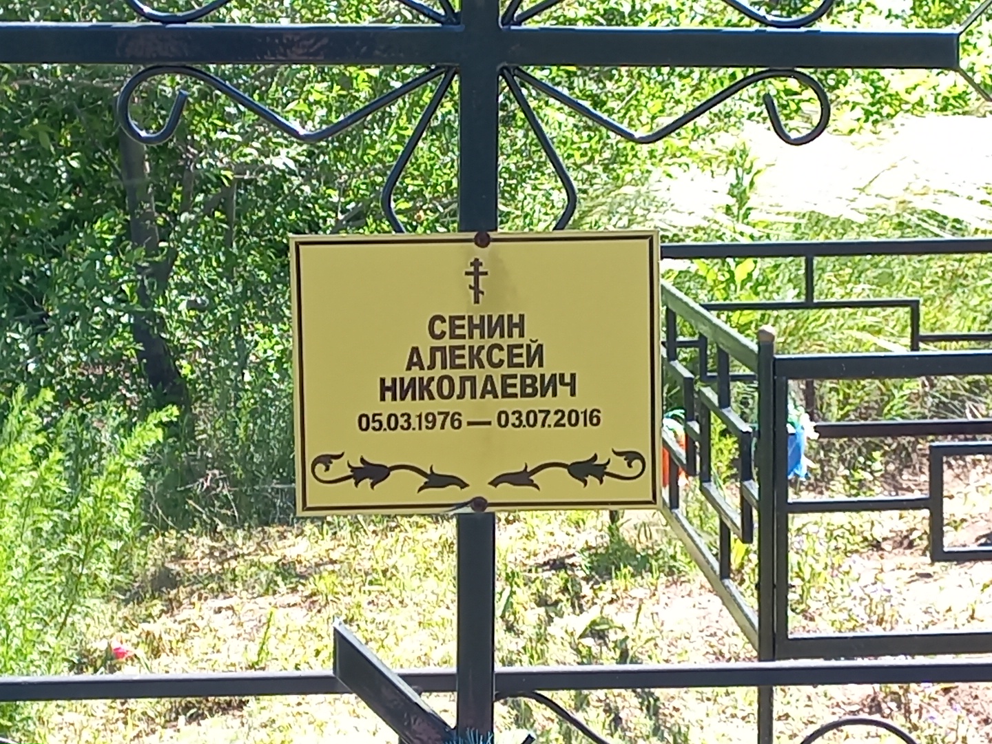 Сенин Алексей Николаевич