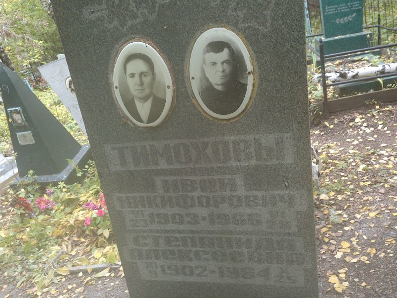 Тимохов