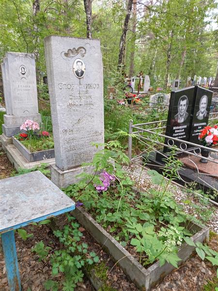 Слободчиков Василий Федорович