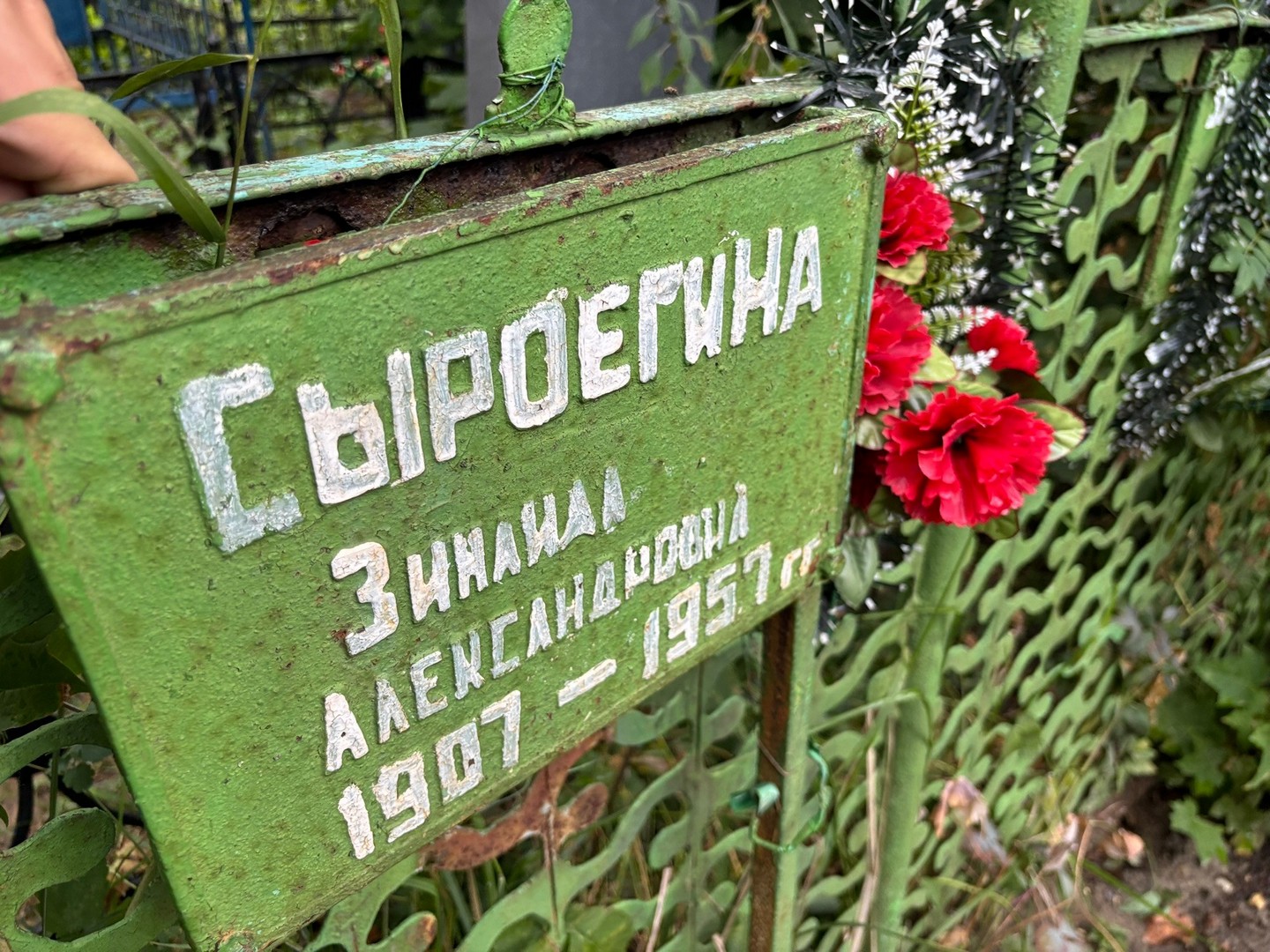 Сыроегина