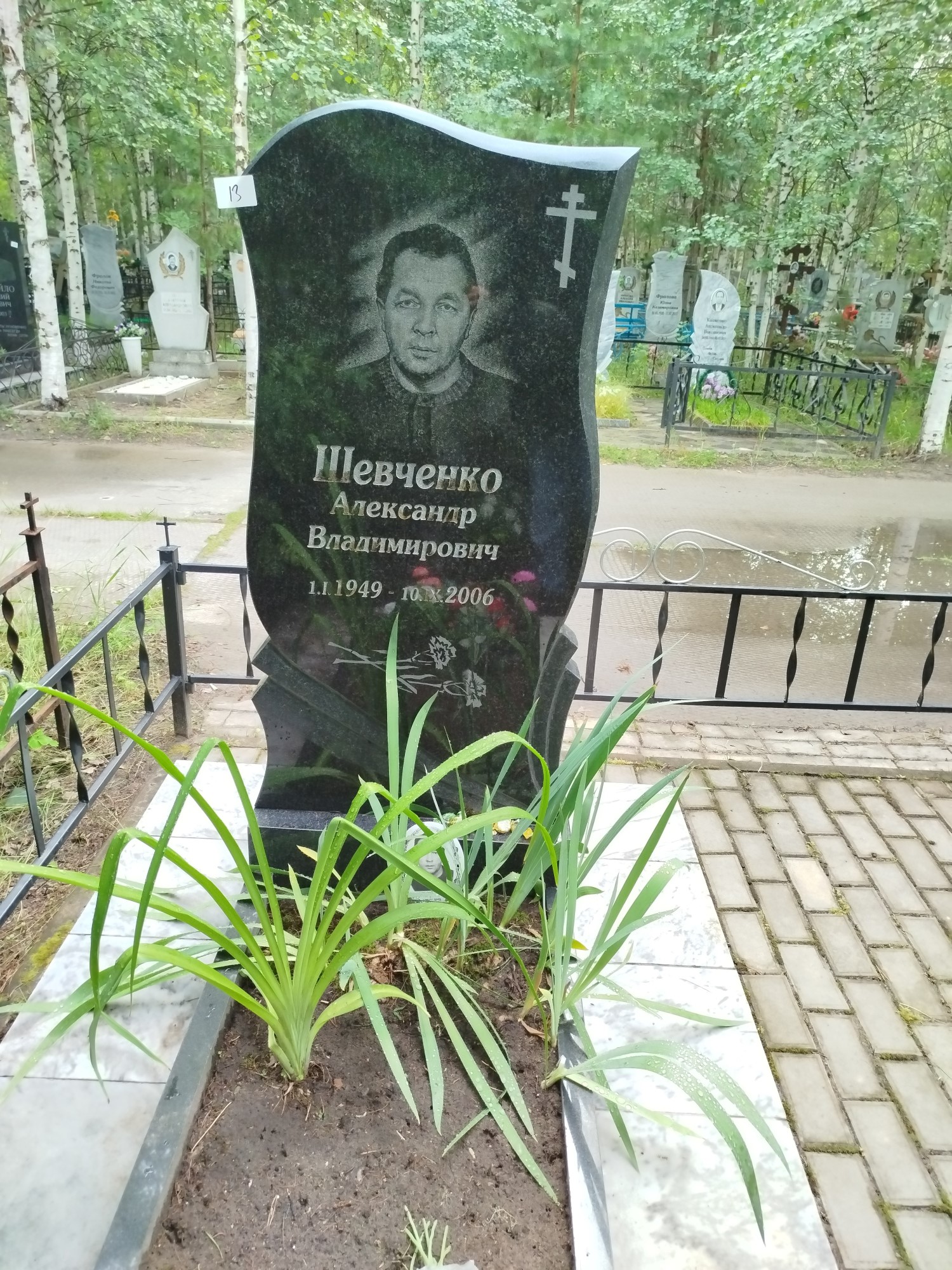 Шевченко Александр Владимирович
