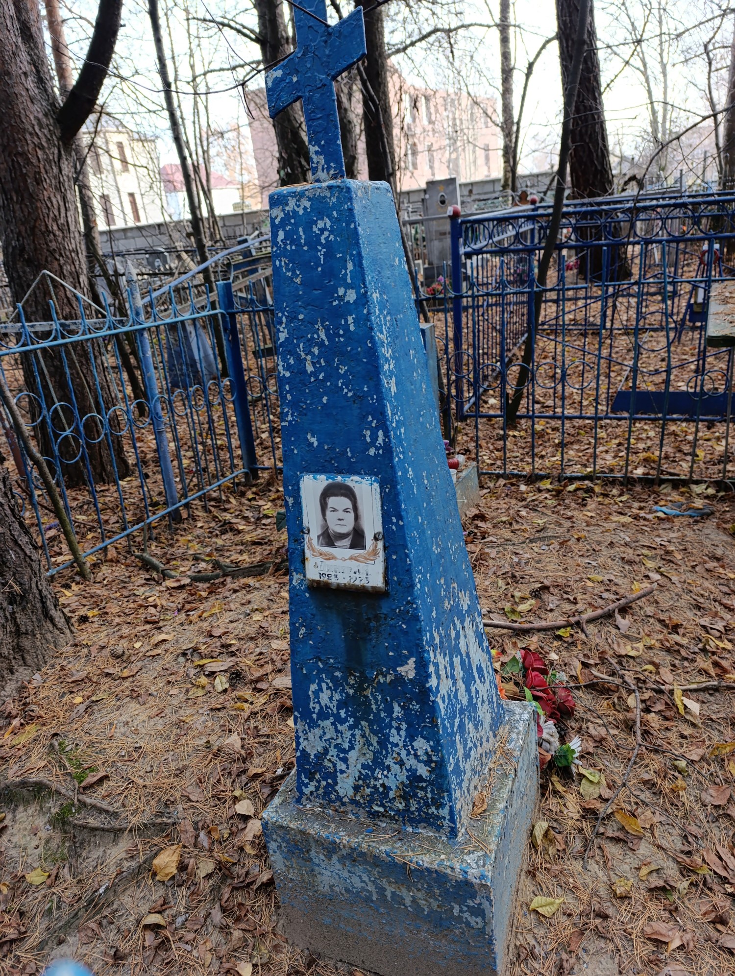 Динер Л Я