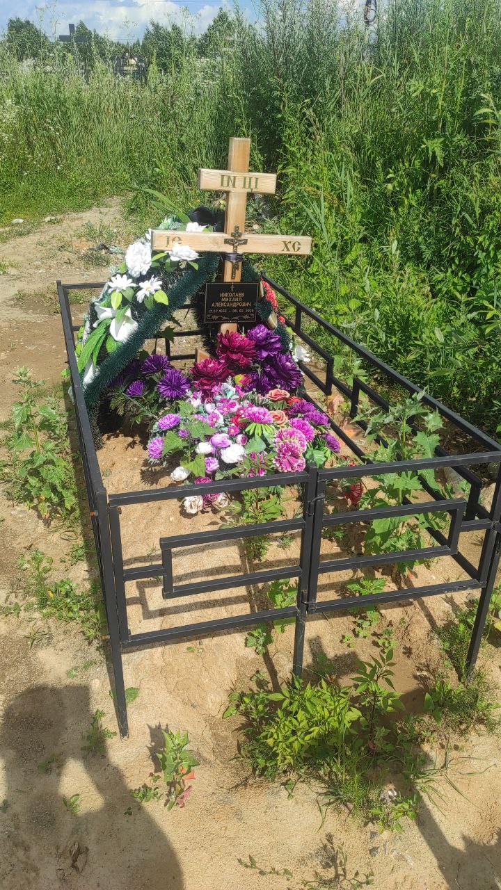 Николаев
