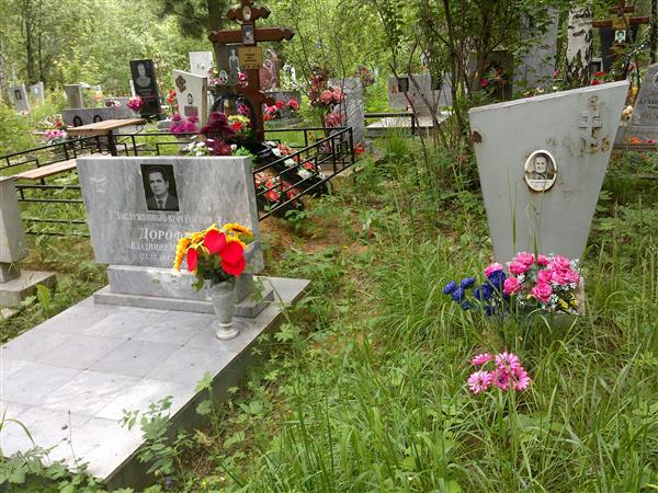 Дорофеев Владимир Михайлович