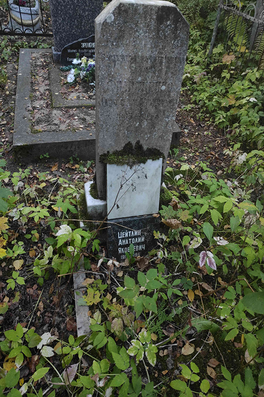 Романова Вероника Петровна