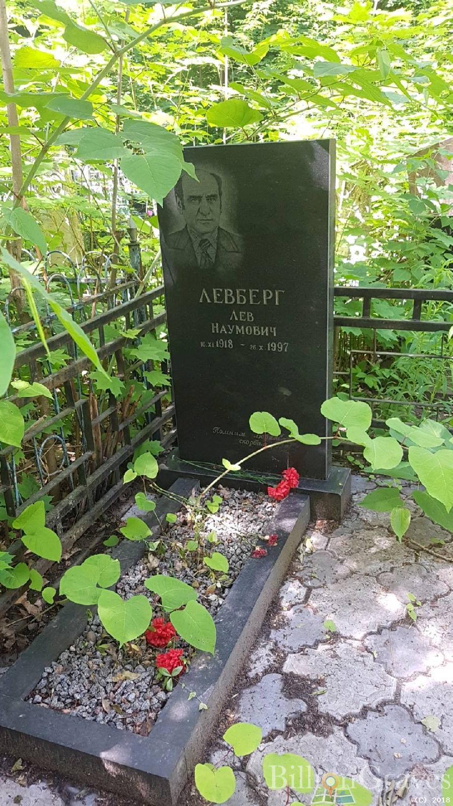 Левберг Лев Наумович