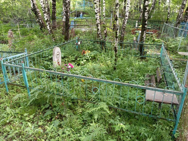 Левицкий Владимир Васильевич