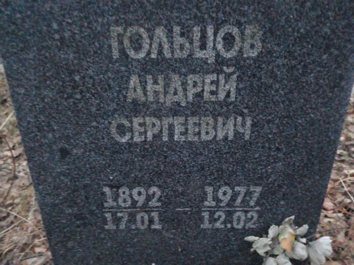 Гольцов Андрей Сергеевич
