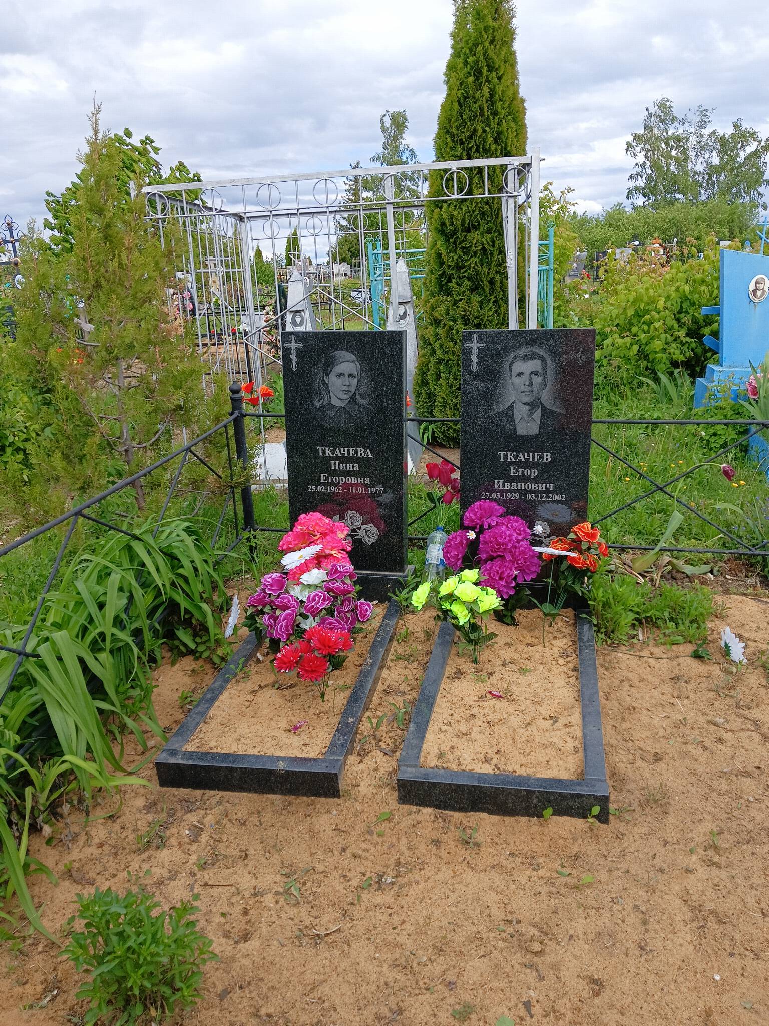 Ткачева Нина Егоровна