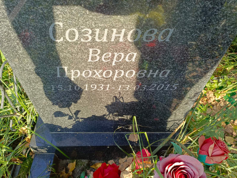 Созинова