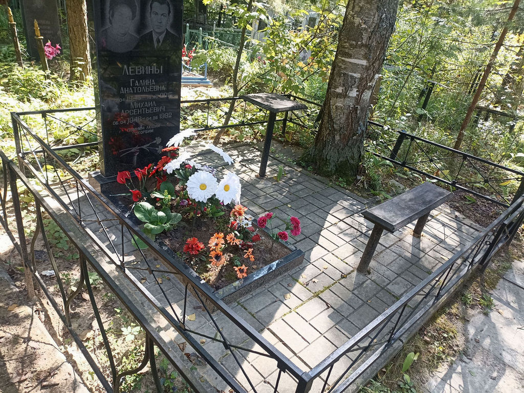 Левина Галина Анатольевна