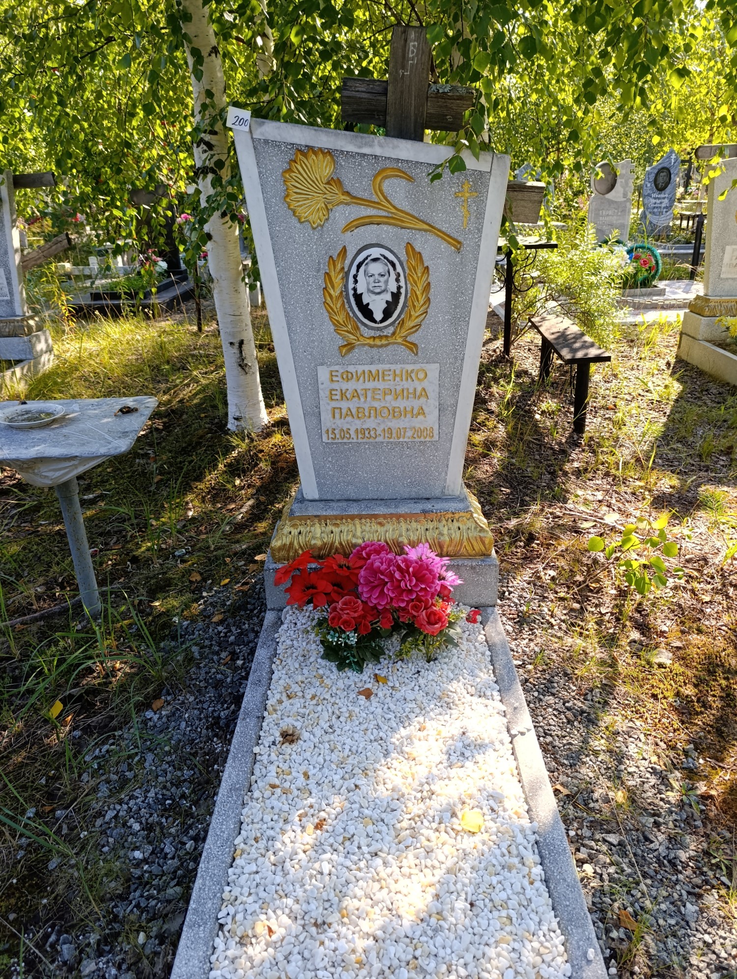 Ефименко Екатерина Павловна