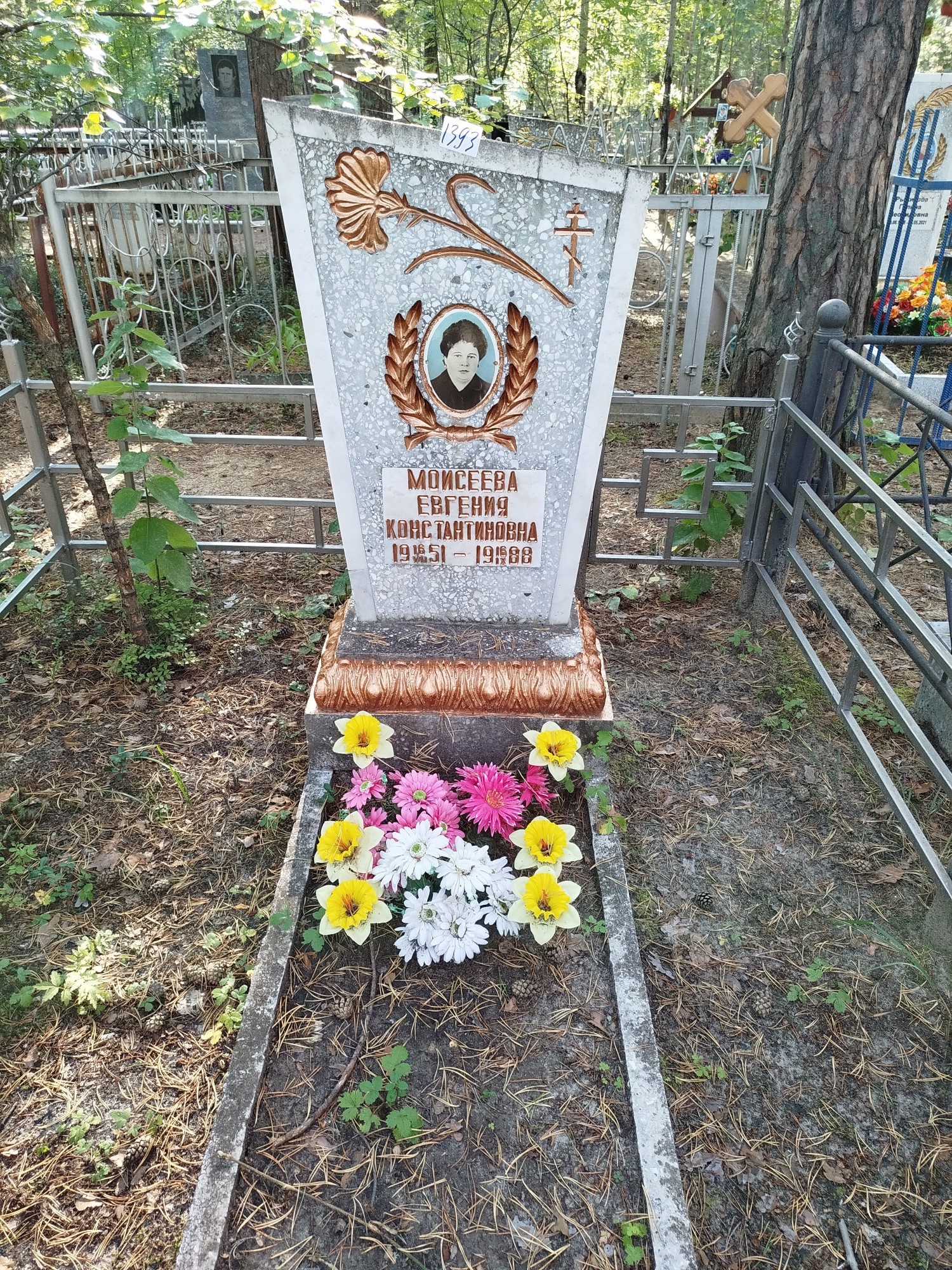 Моисеева Евгения Константиновна