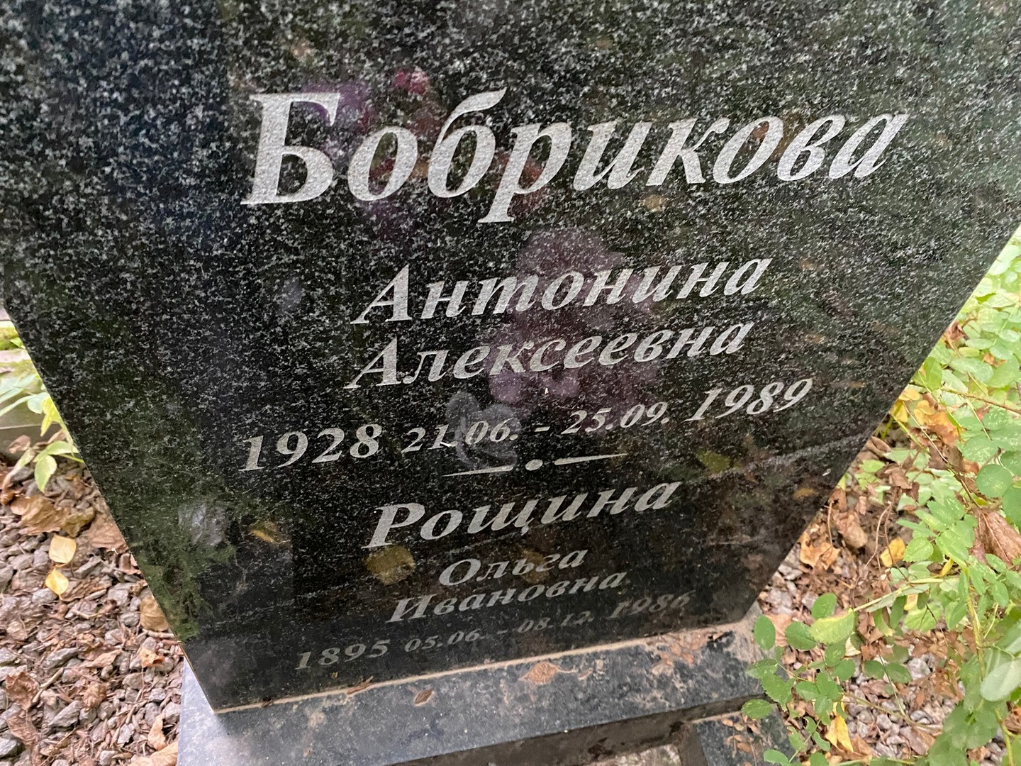 Бобрикова Антонина Алексеевна