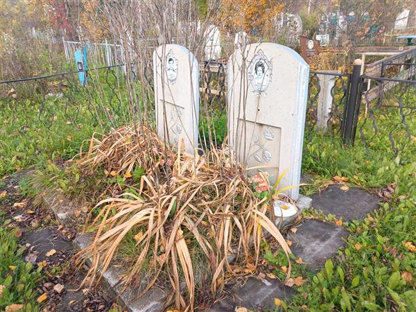 Волога Валентина Николаевна