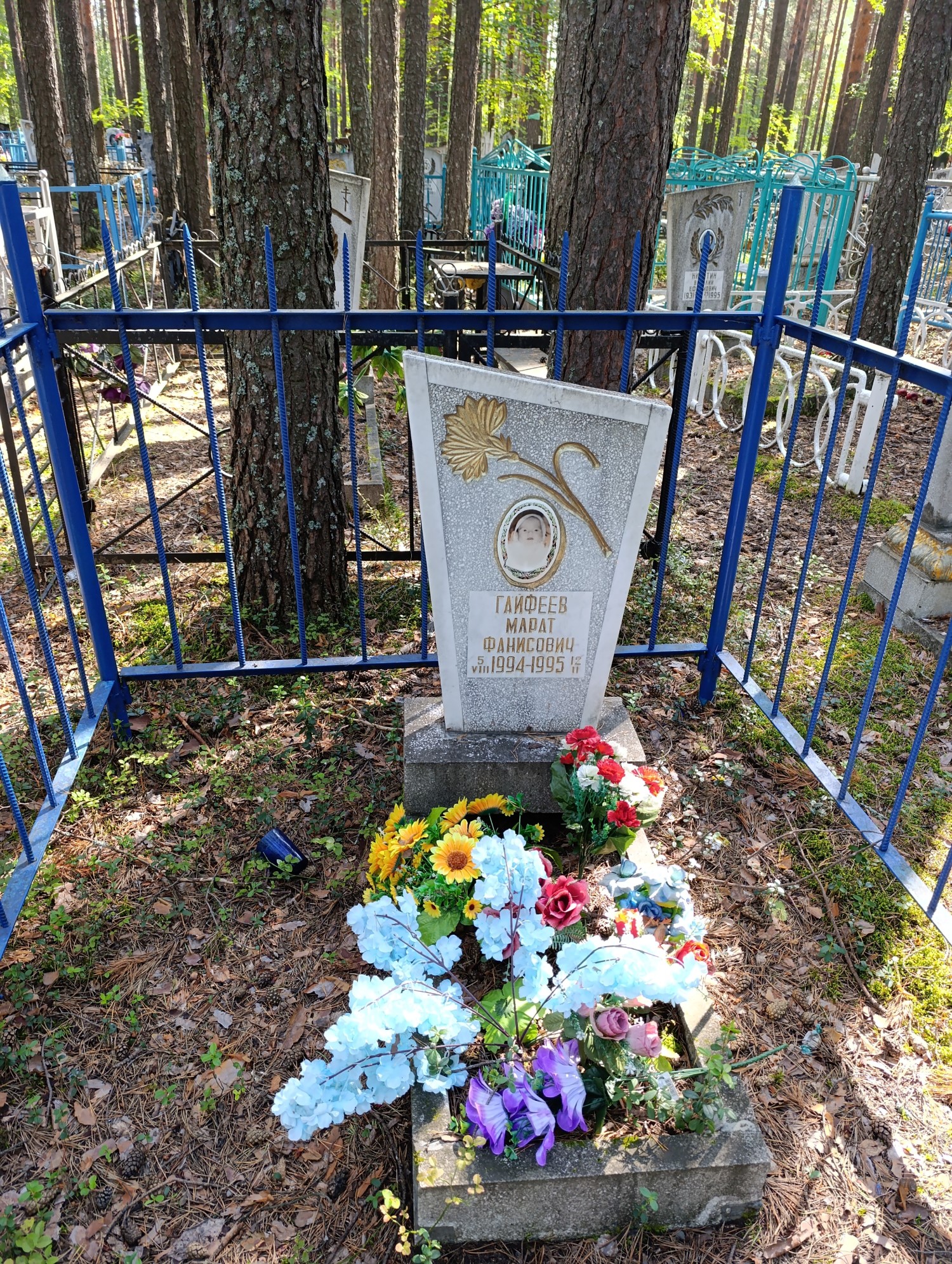 Гайфеев Марат Фанисович