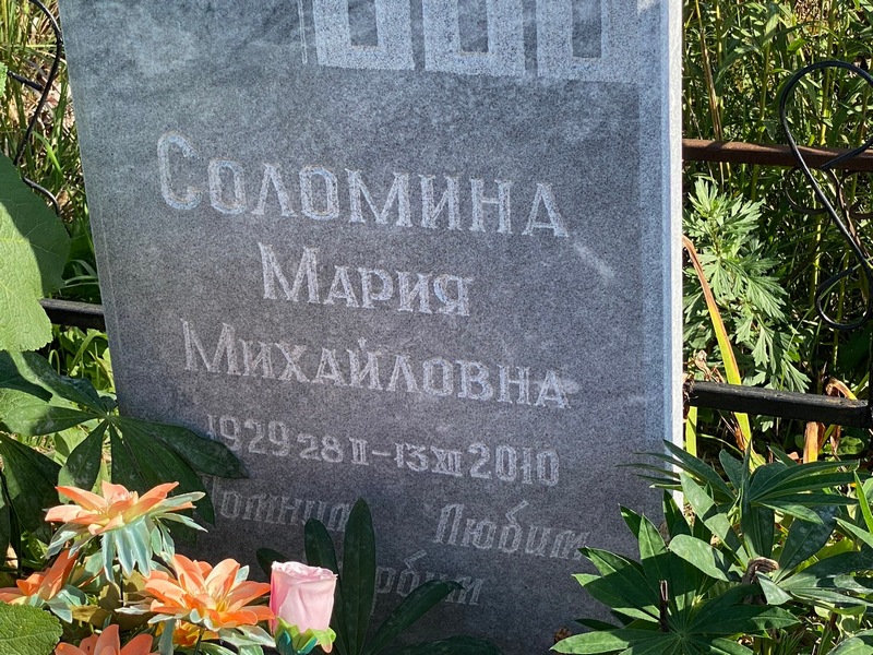 Соломина