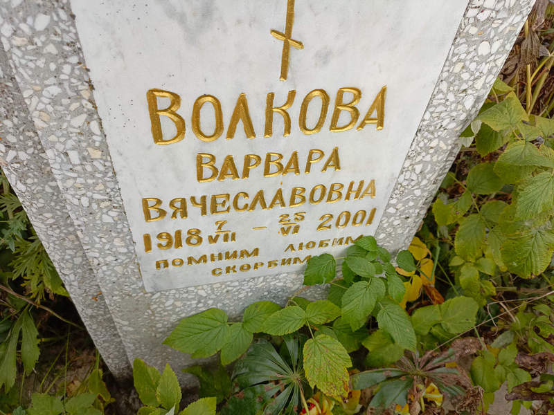 Волкова Варвара Вячеславовна