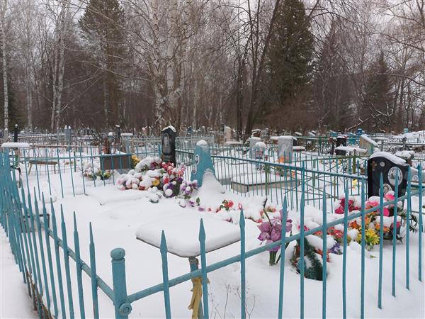 Гибадулин Шарип Минвалиевич