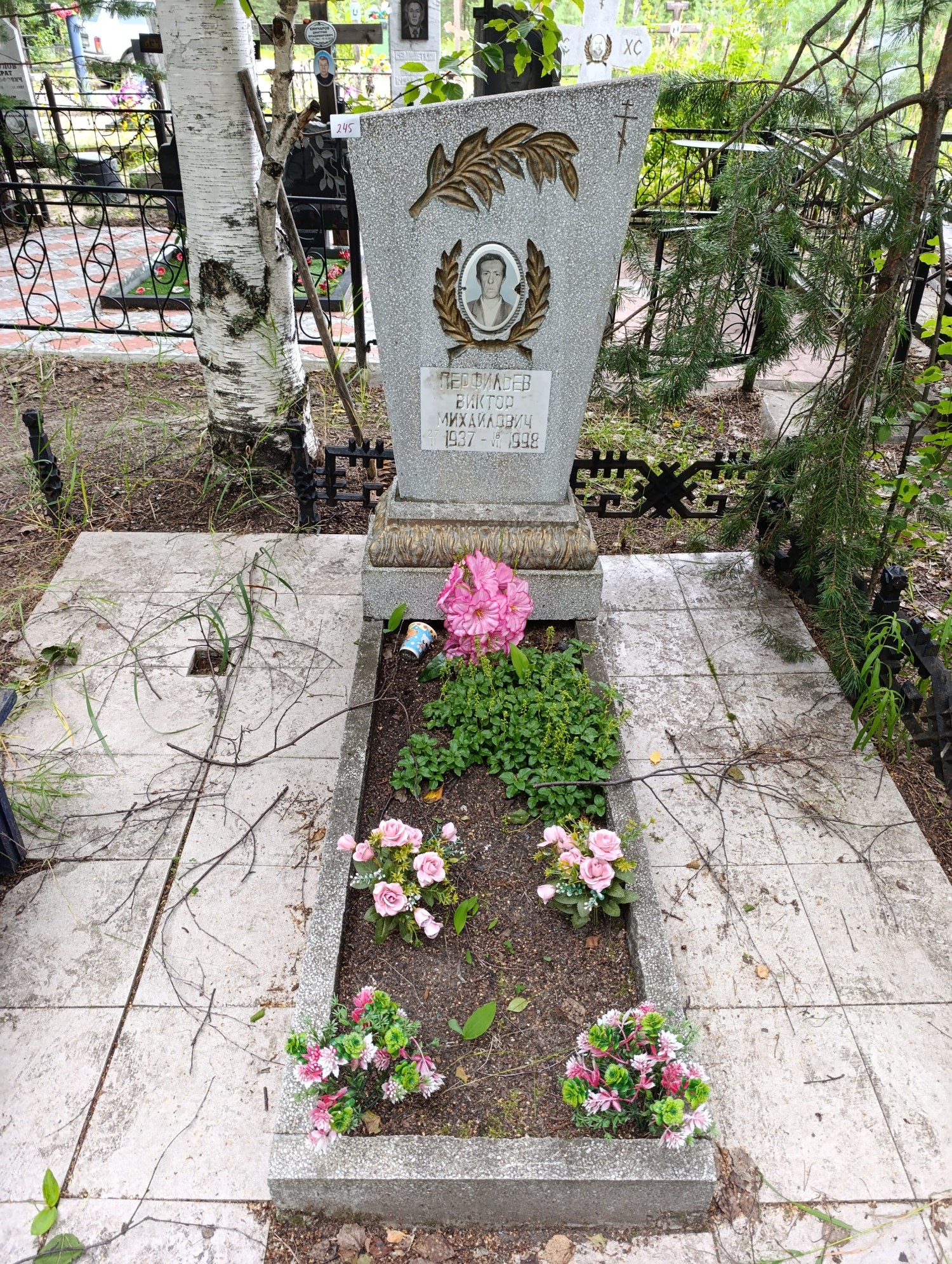 Перфильев Виктор Михайлович
