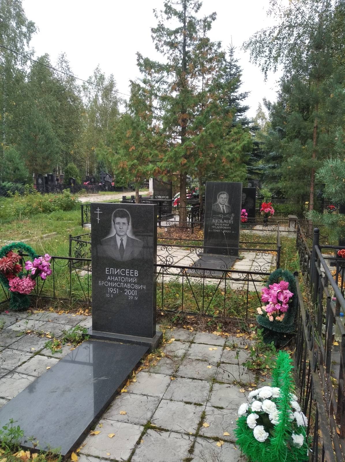 Елисеев Анатолий Брониславович