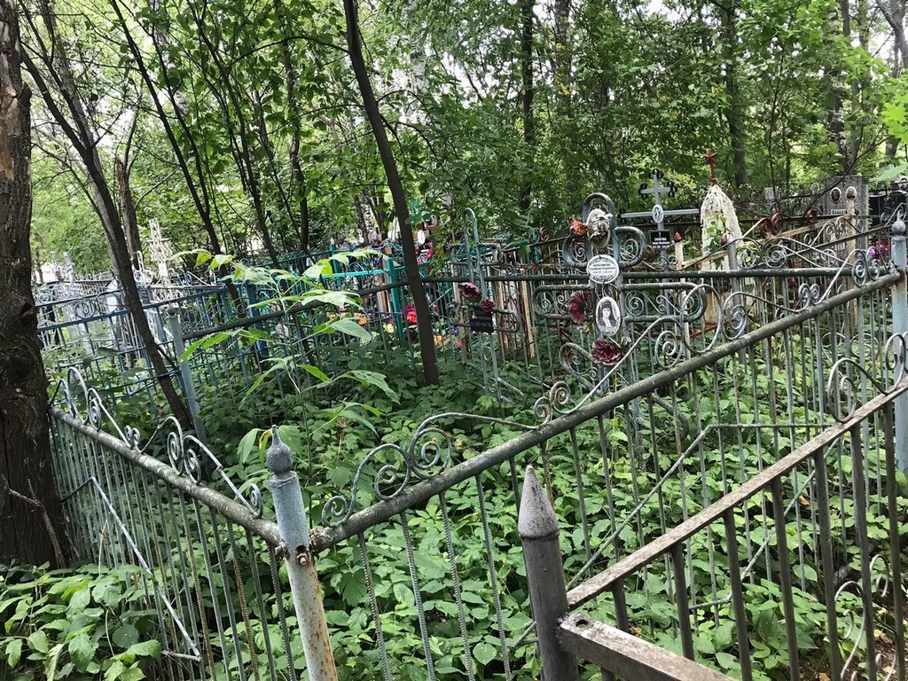 Абросимова Серафима Андреевна
