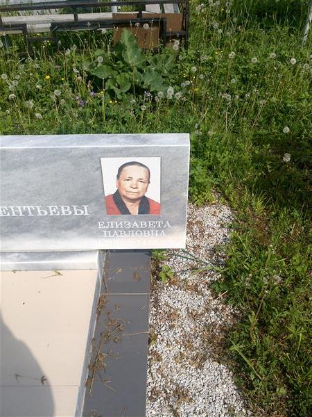 Дементьева Елизавета Павловна