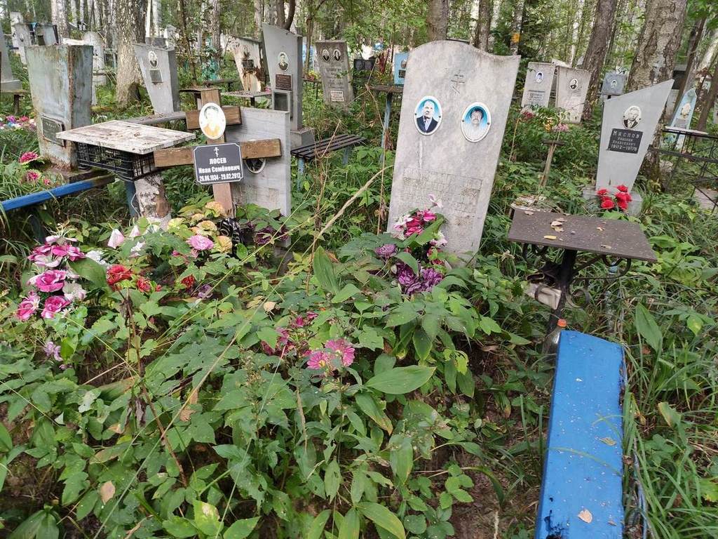 Лосев Владимир Иванович