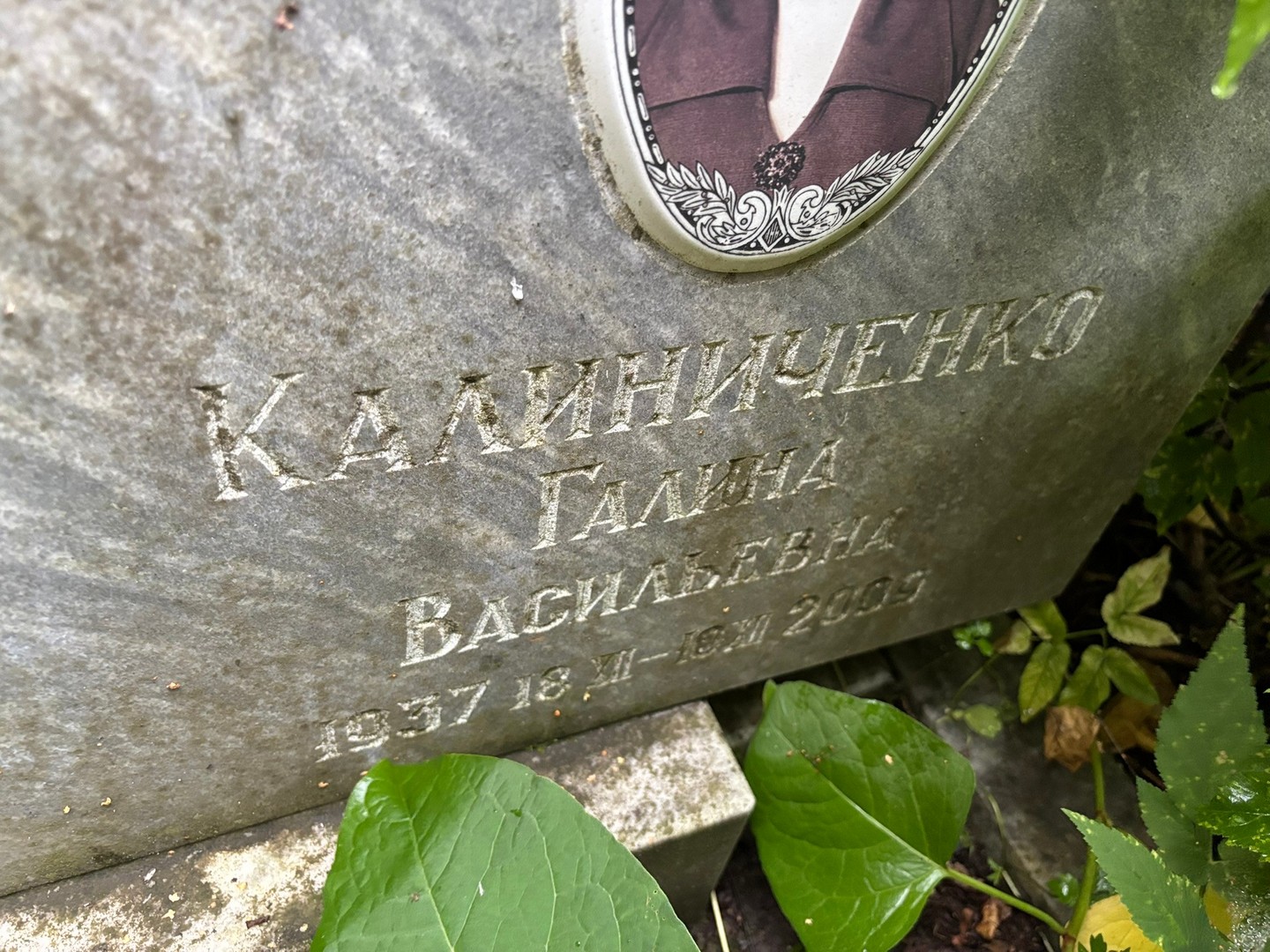 Калиниченко