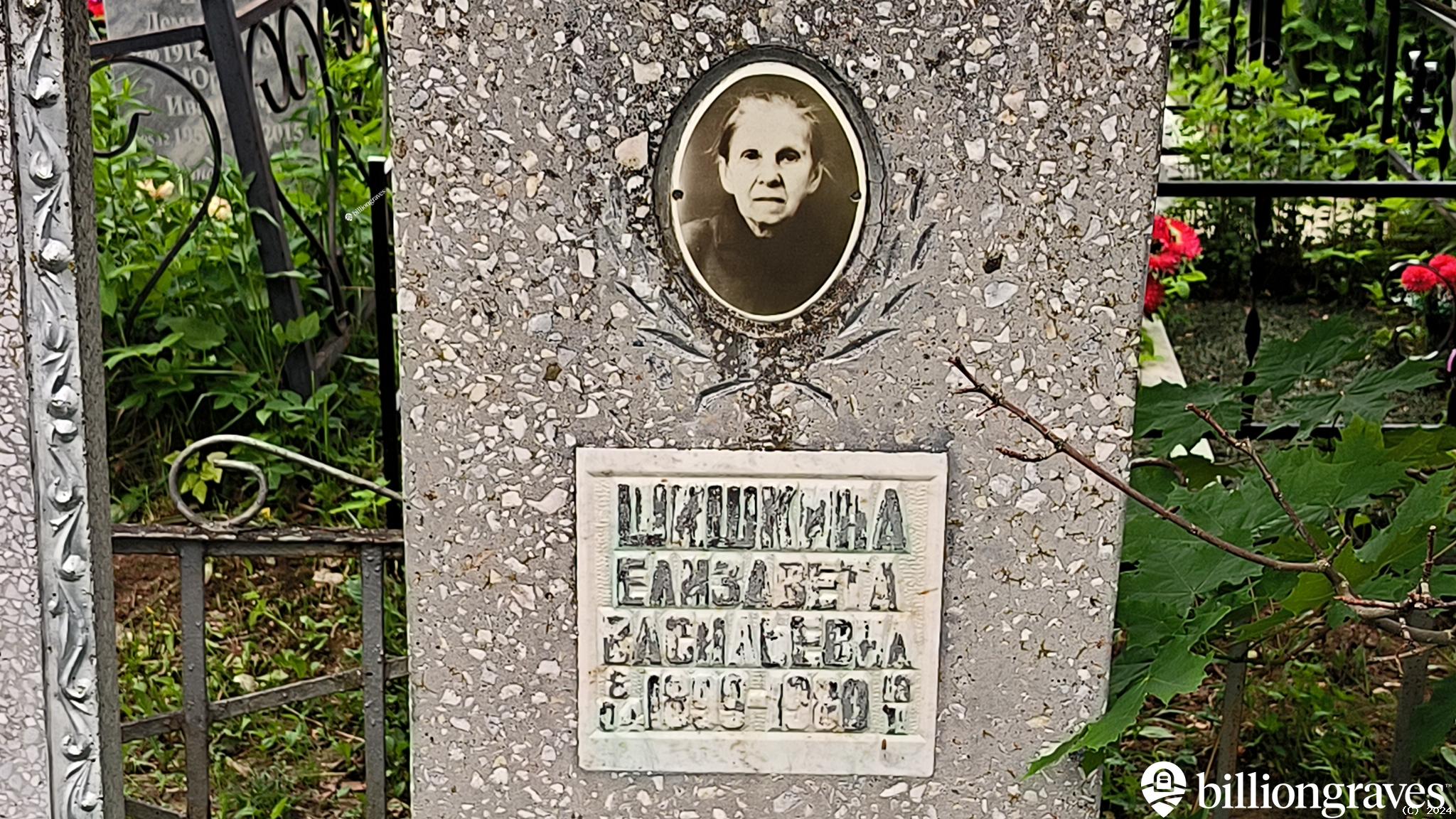 Шишкина Елизавета Васильевна