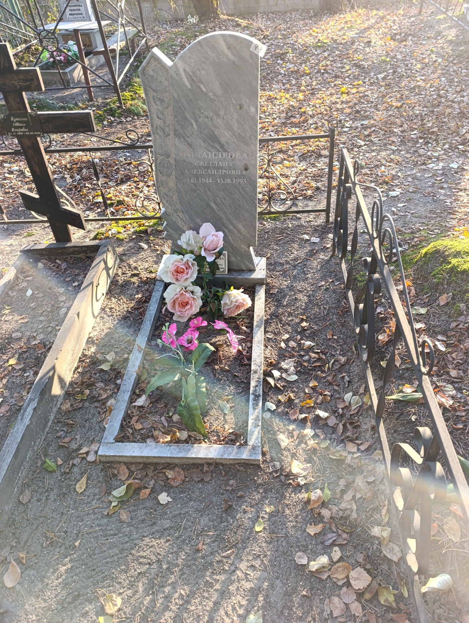 Никандрова Светлана Александровна