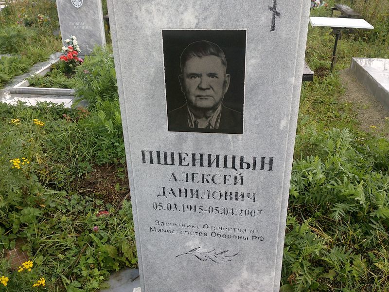 Пшеницын