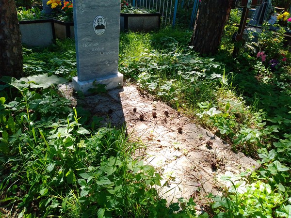 Войтяхова Ольга Степановна