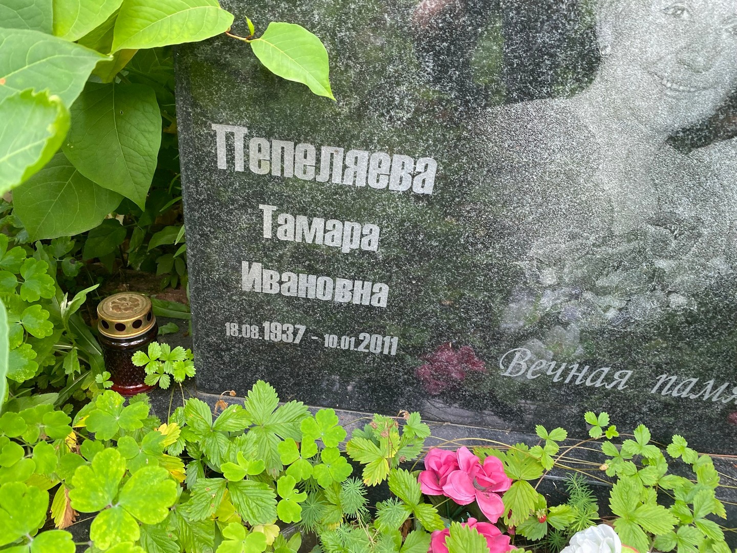 Пепеляева