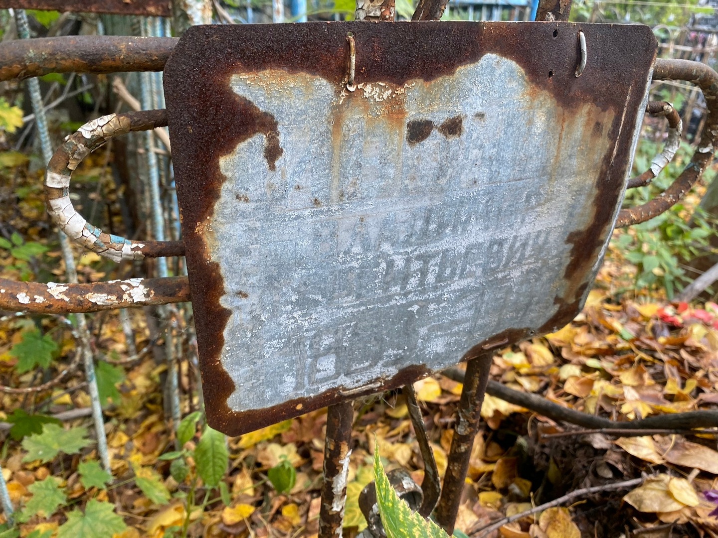 Владимир