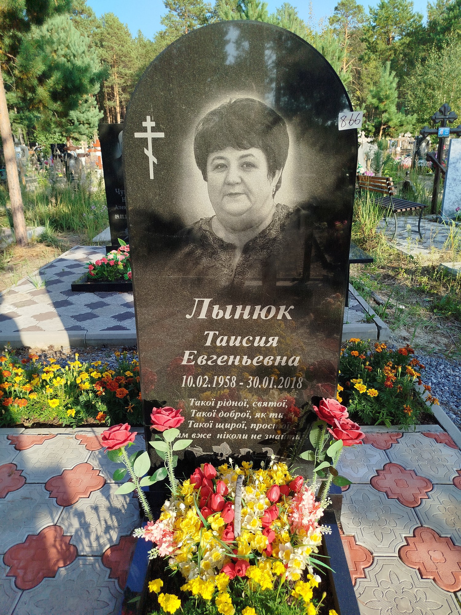 Лынюк Таисия Евгеньевна