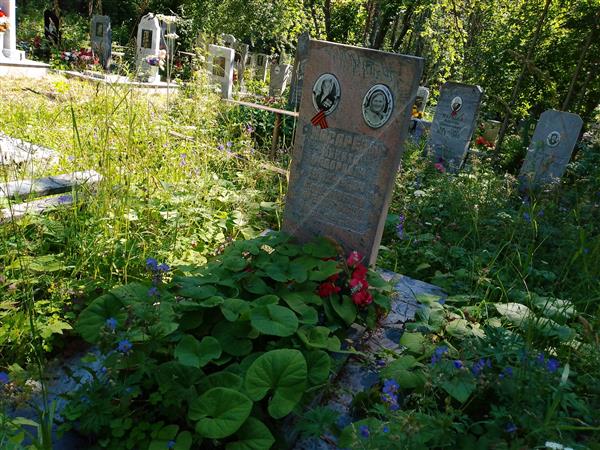 Косарева Елизавета Федоровна