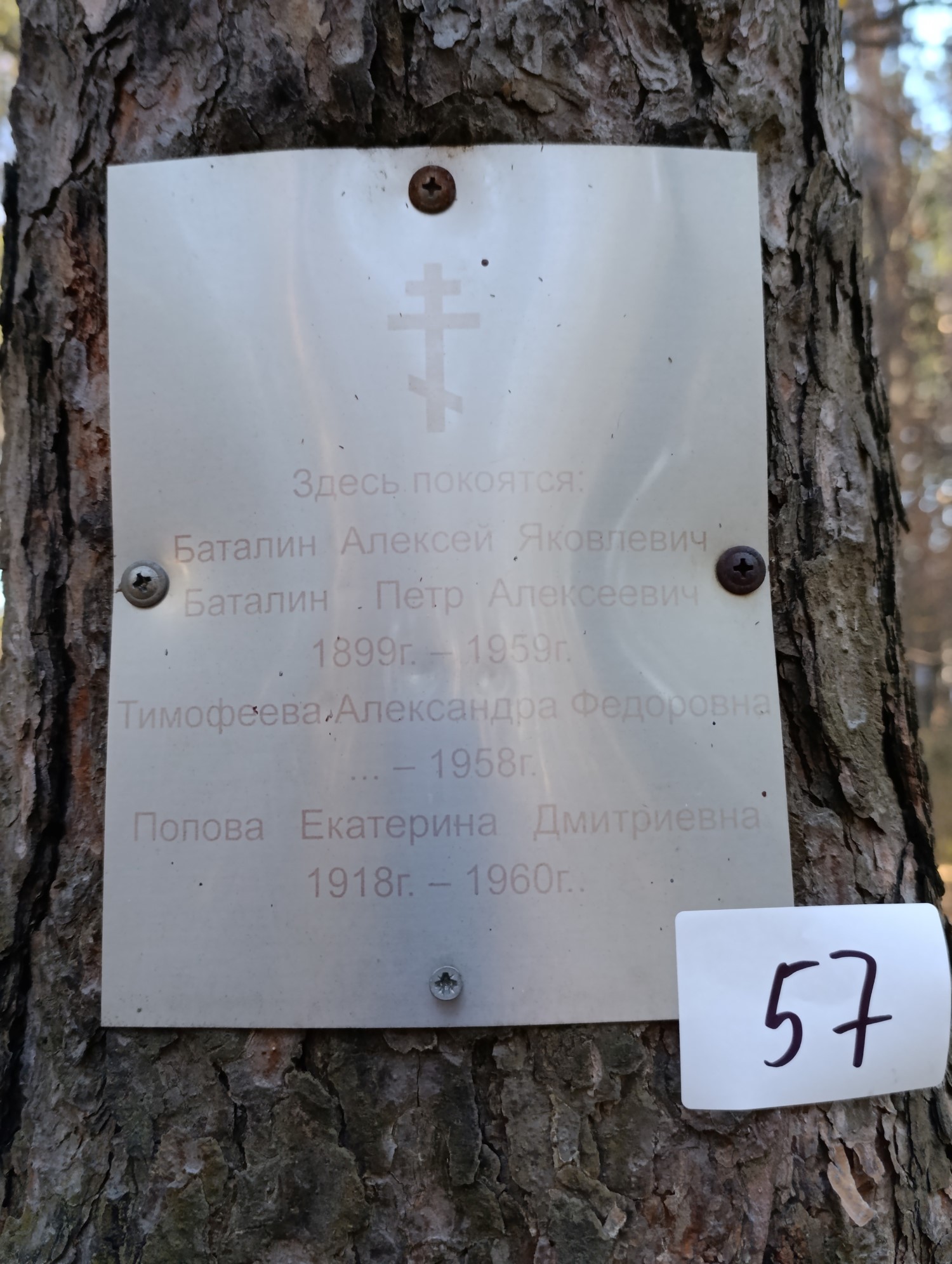 Баталин Петр Алексеевич