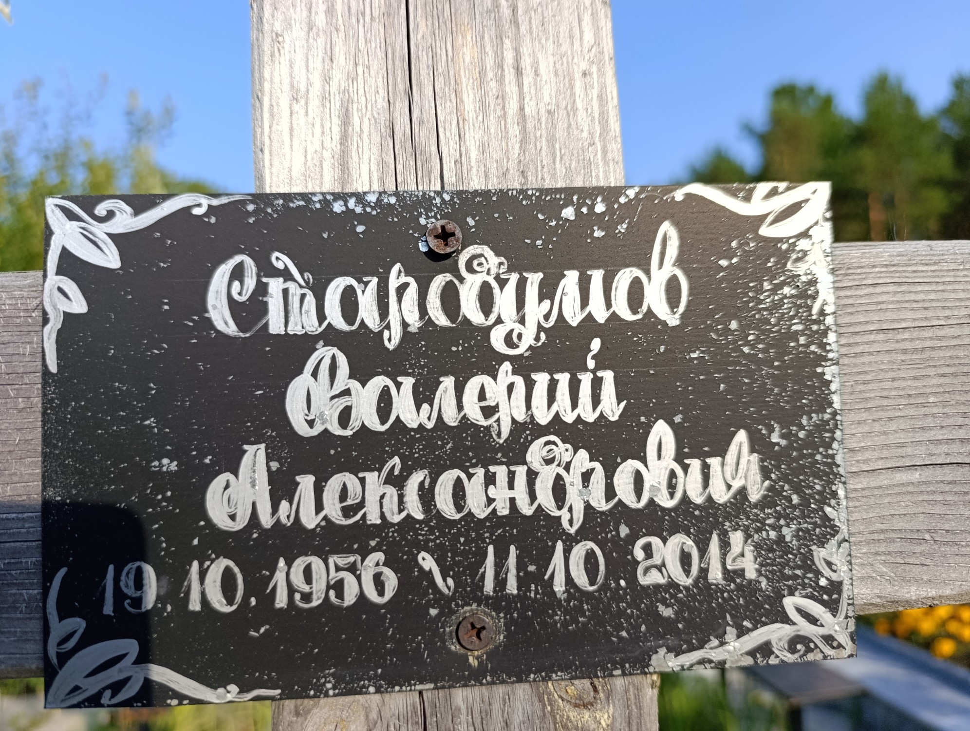 Стародумов Валерий Александрович